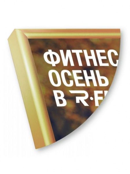 Рамка Нельсон 02, А4,  золото глянец анодир. в Санкт-Петербурге - картинка, изображение, фото